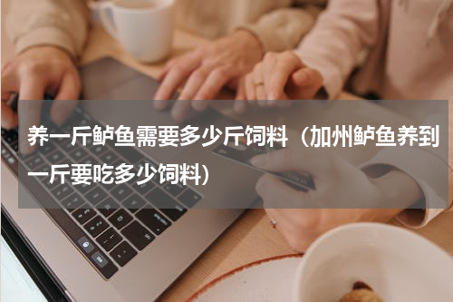 养一斤鲈鱼需要多少斤饲料（加州鲈鱼养到一斤要吃多少饲料）