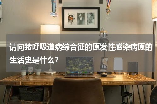 请问猪呼吸道病综合征的原发性感染病原的生活史是什么？