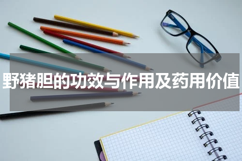 野猪胆的功效与作用及药用价值