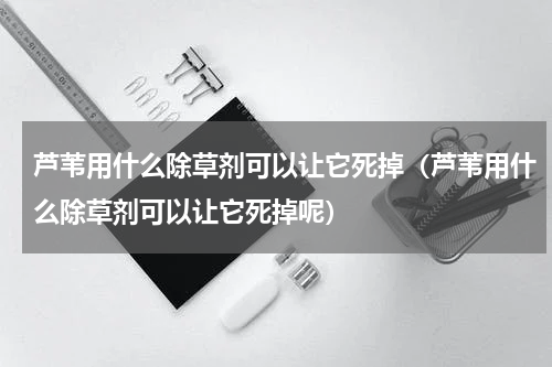 芦苇用什么除草剂可以让它死掉（芦苇用什么除草剂可以让它死掉呢）
