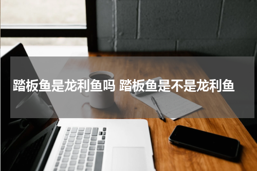 踏板鱼是龙利鱼吗 踏板鱼是不是龙利鱼