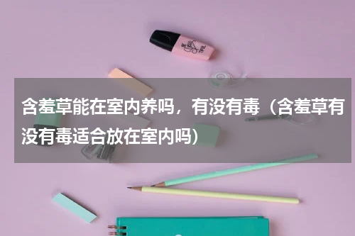 含羞草能在室内养吗，有没有毒（含羞草有没有毒适合放在室内吗）