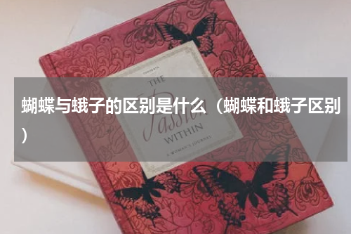蝴蝶与蛾子的区别是什么（蝴蝶和蛾子区别）