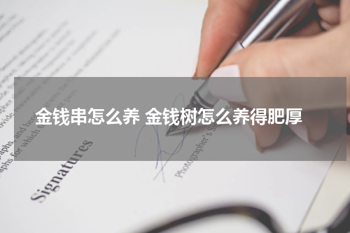 金钱串怎么养 金钱树怎么养得肥厚