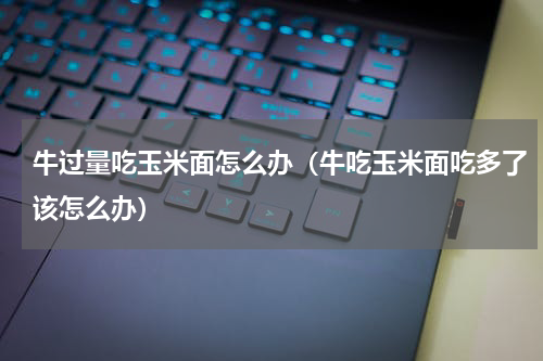 牛过量吃玉米面怎么办（牛吃玉米面吃多了该怎么办）
