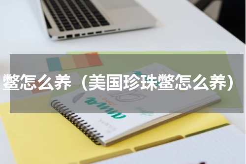 鳖怎么养（美国珍珠鳖怎么养）