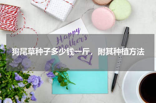 狗尾草种子多少钱一斤，附其种植方法