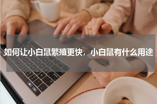 如何让小白鼠繁殖更快，小白鼠有什么用途