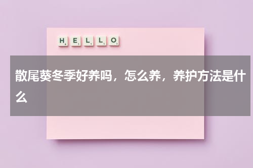 散尾葵冬季好养吗，怎么养，养护方法是什么
