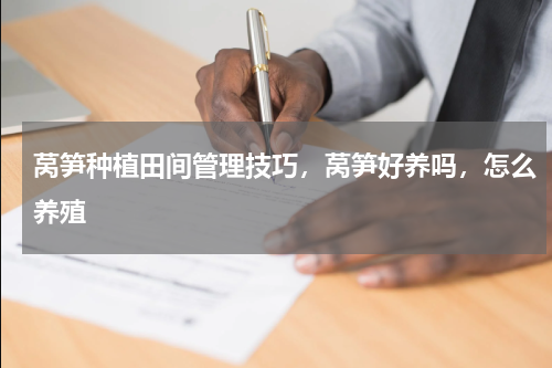 莴笋种植田间管理技巧，莴笋好养吗，怎么养殖