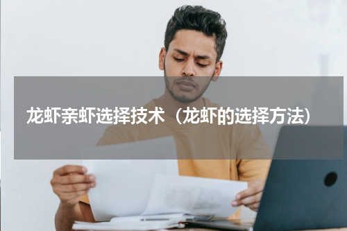 龙虾亲虾选择技术（龙虾的选择方法）