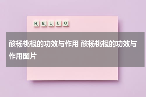 酸杨桃根的功效与作用 酸杨桃根的功效与作用图片