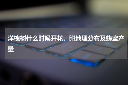 洋槐树什么时候开花，附地理分布及蜂蜜产量