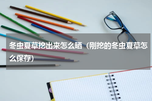 冬虫夏草挖出来怎么晒（刚挖的冬虫夏草怎么保存）