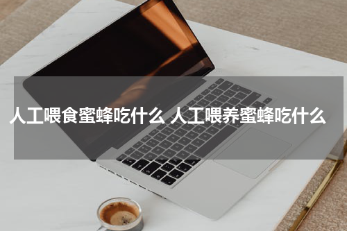 人工喂食蜜蜂吃什么 人工喂养蜜蜂吃什么