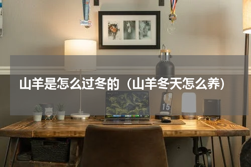 山羊是怎么过冬的（山羊冬天怎么养）