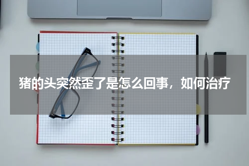 猪的头突然歪了是怎么回事，如何治疗