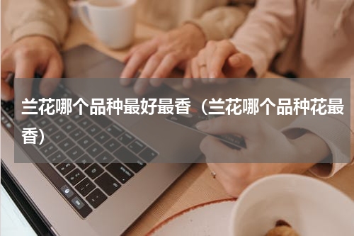 兰花哪个品种最好最香（兰花哪个品种花最香）