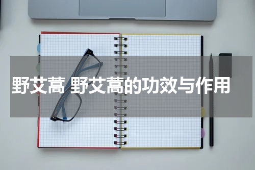 野艾蒿 野艾蒿的功效与作用