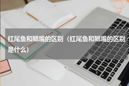 红尾鱼和翘嘴的区别（红尾鱼和翘嘴的区别是什么）