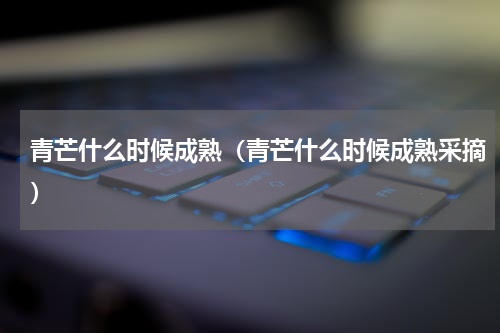 青芒什么时候成熟（青芒什么时候成熟采摘）