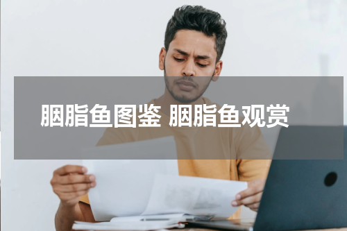 胭脂鱼图鉴 胭脂鱼观赏