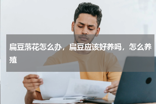 扁豆落花怎么办，扁豆应该好养吗，怎么养殖