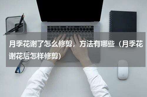月季花谢了怎么修剪，方法有哪些（月季花谢花后怎样修剪）