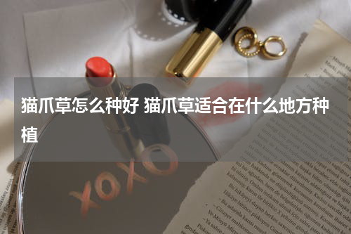 猫爪草怎么种好 猫爪草适合在什么地方种植