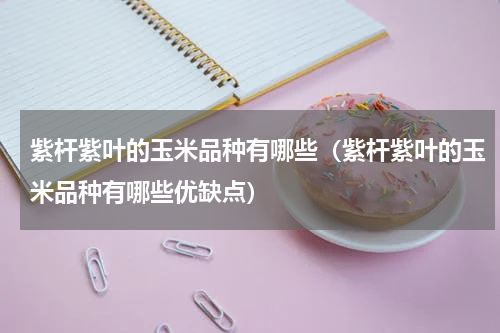 紫杆紫叶的玉米品种有哪些（紫杆紫叶的玉米品种有哪些优缺点）