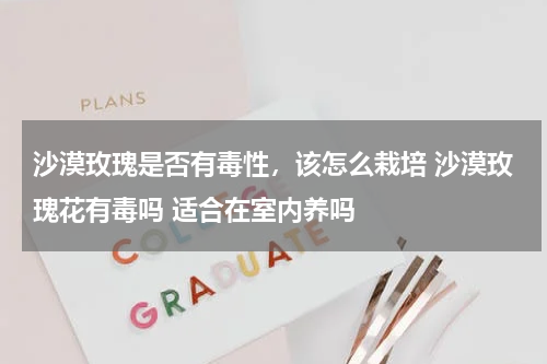 沙漠玫瑰是否有毒性，该怎么栽培 沙漠玫瑰花有毒吗 适合在室内养吗