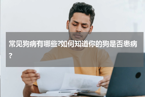 常见狗病有哪些?如何知道你的狗是否患病?