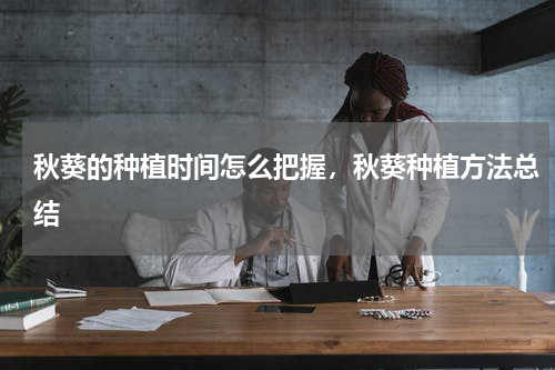 秋葵的种植时间怎么把握，秋葵种植方法总结
