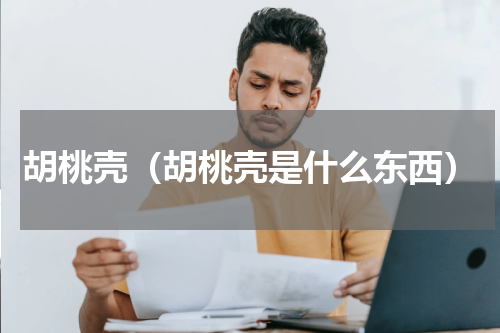 胡桃壳（胡桃壳是什么东西）