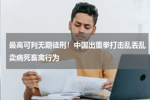最高可判无期徒刑！中国出重拳打击乱丢乱卖病死畜禽行为