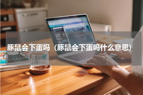 豚鼠会下蛋吗（豚鼠会下蛋吗什么意思）