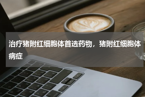 治疗猪附红细胞体首选药物，猪附红细胞体病症