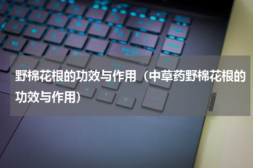 野棉花根的功效与作用（中草药野棉花根的功效与作用）