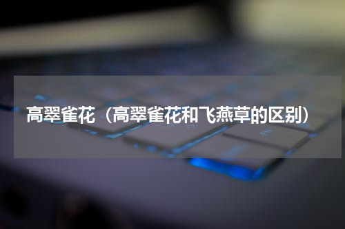 高翠雀花（高翠雀花和飞燕草的区别）