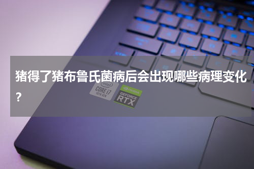 猪得了猪布鲁氏菌病后会出现哪些病理变化？