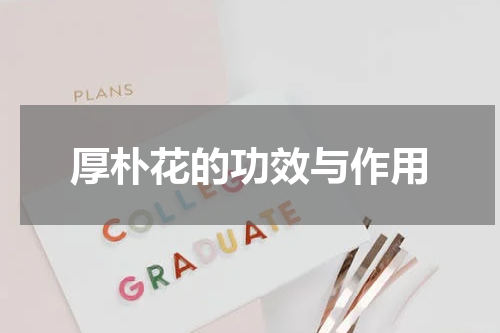 厚朴花的功效与作用