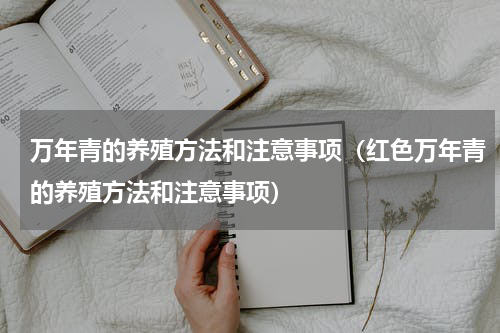 万年青的养殖方法和注意事项（红色万年青的养殖方法和注意事项）