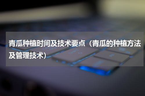 青瓜种植时间及技术要点（青瓜的种植方法及管理技术）