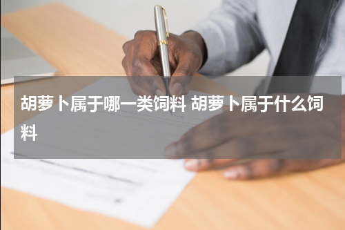 胡萝卜属于哪一类饲料 胡萝卜属于什么饲料