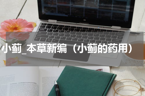 小蓟_本草新编（小蓟的药用）