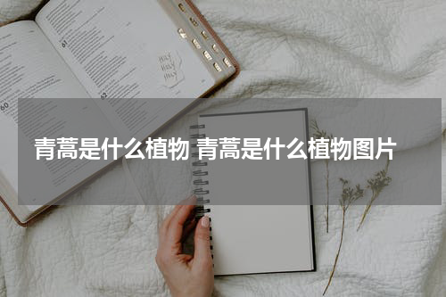 青蒿是什么植物 青蒿是什么植物图片