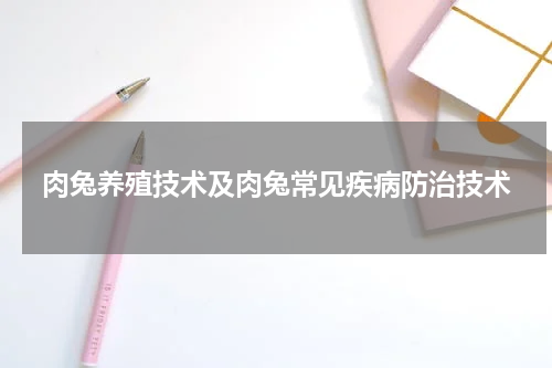 肉兔养殖技术及肉兔常见疾病防治技术