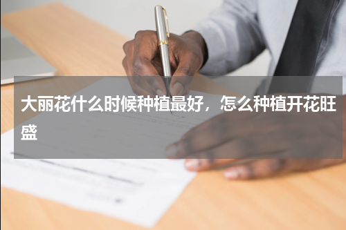 大丽花什么时候种植最好，怎么种植开花旺盛