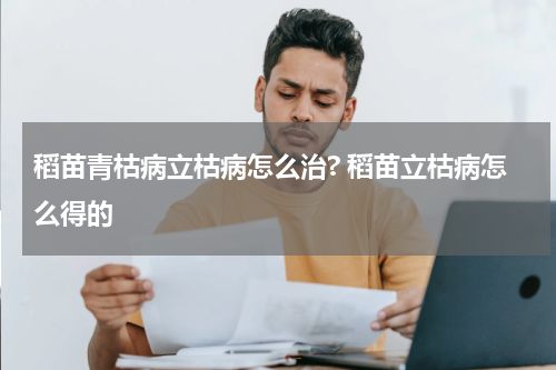 稻苗青枯病立枯病怎么治? 稻苗立枯病怎么得的