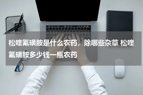 松喹氟磺胺是什么农药，除哪些杂草 松喹氟磺胺多少钱一瓶农药